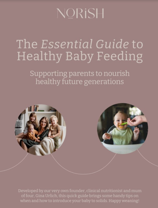 Norish Essential Guide to Healthy Baby Feeding